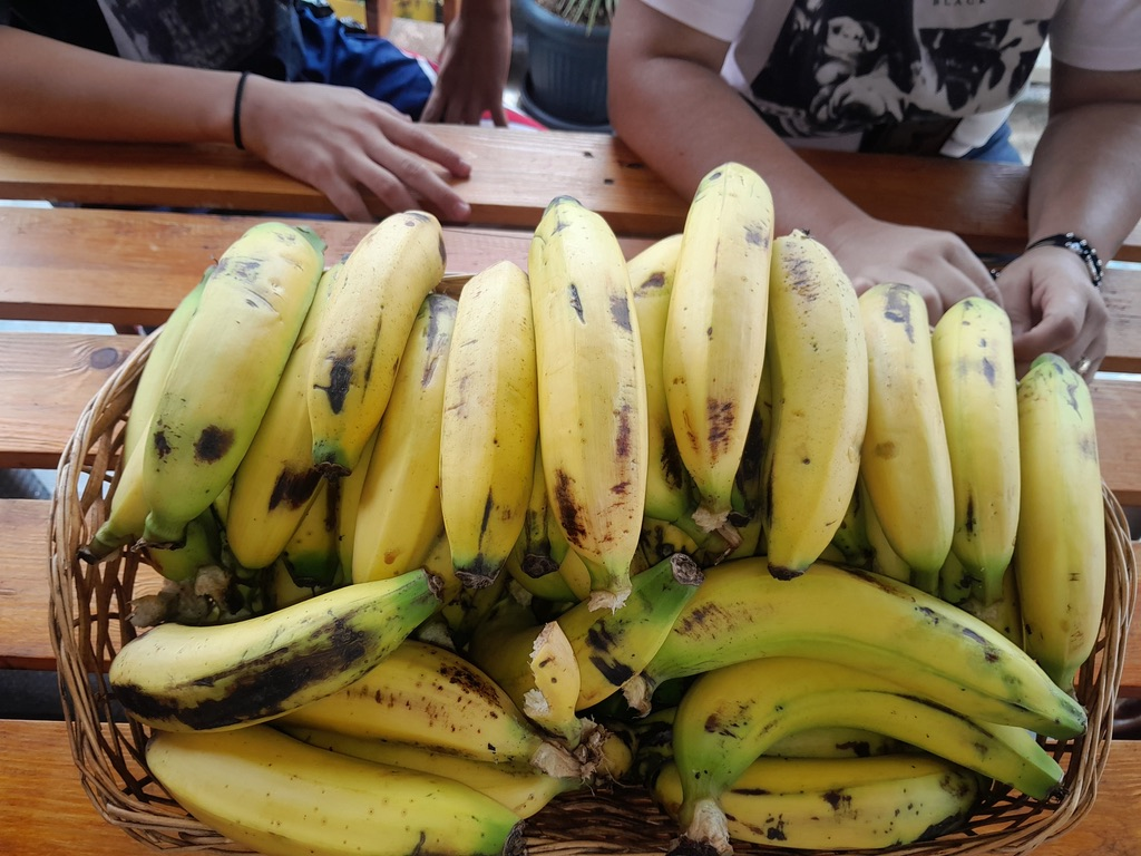 Fresh fruit ready to share with families.