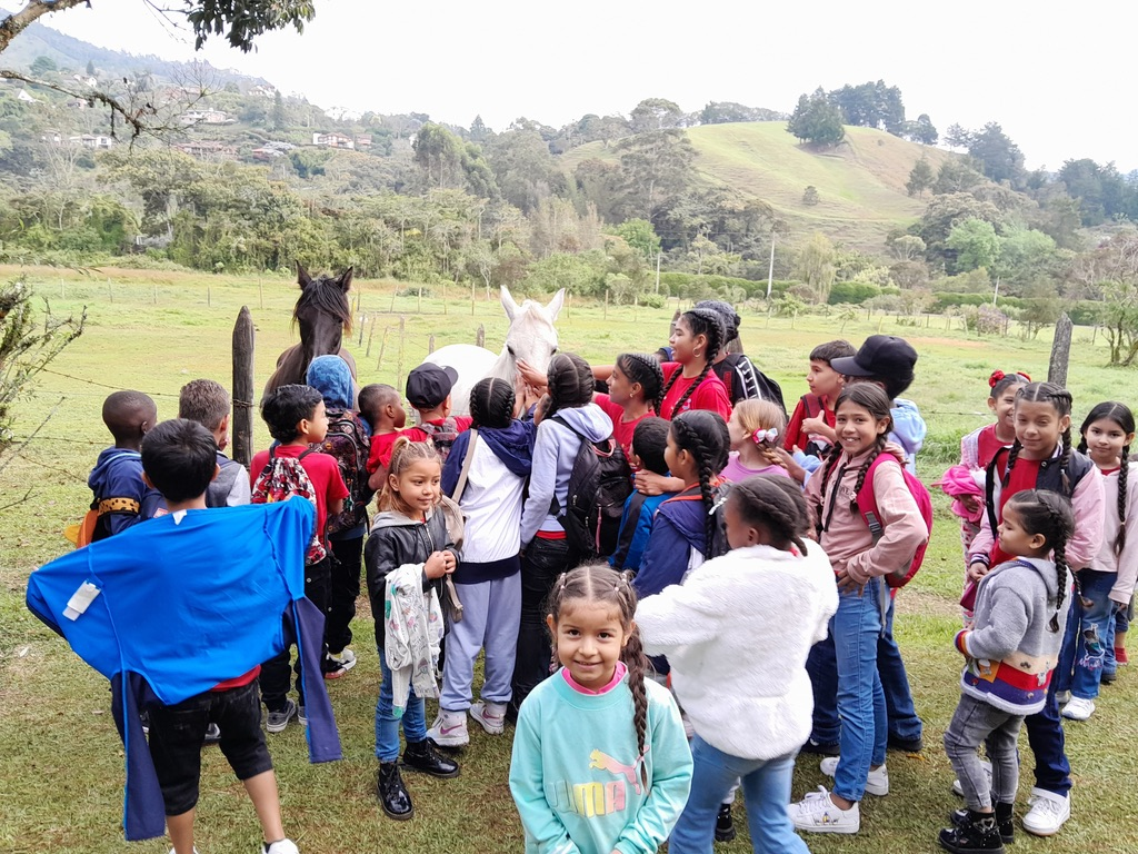 A countryside outing to meet the horses.