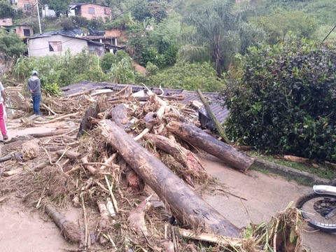 Fallen trees and debris after the landslide.